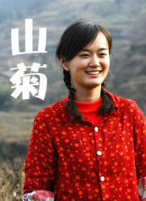 美女又黄又免费